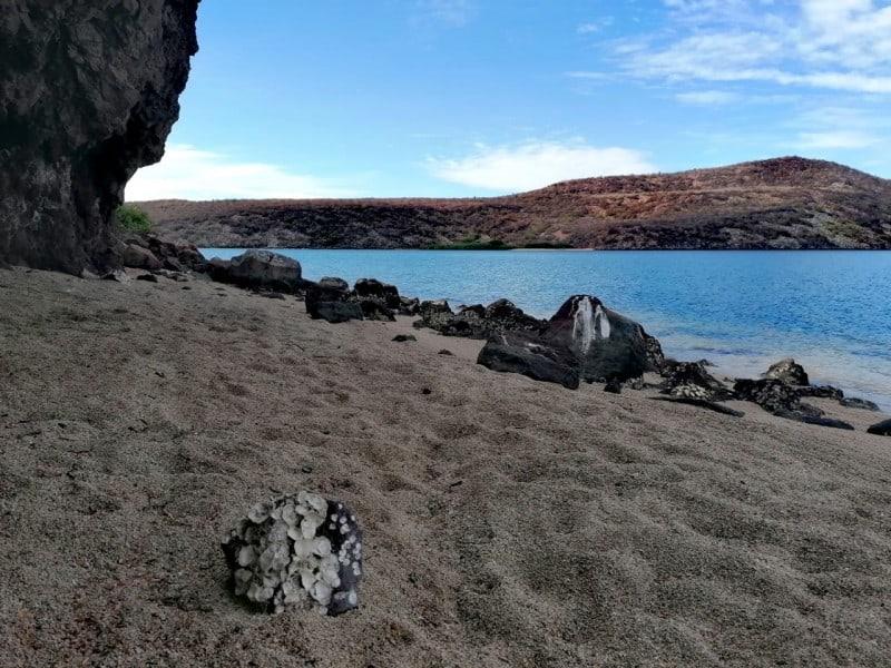 Semana Santa 2023: «Las Hamacas», la playa escondida de Topolobampo