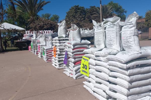 En riesgo programa Fertilizante para el Bienestar en Sinaloa