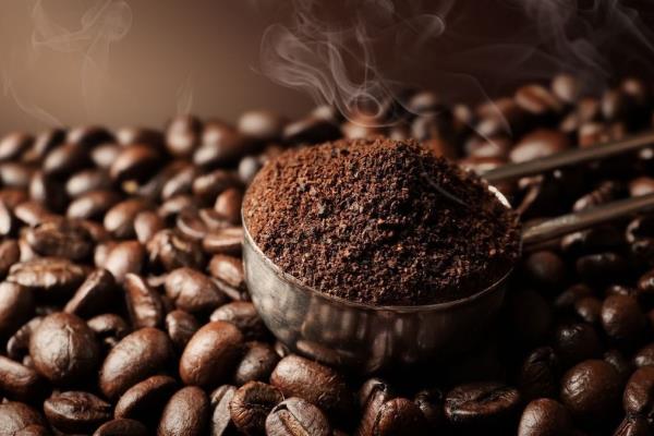 Caffenio o Starbucks: Cuál es mejor