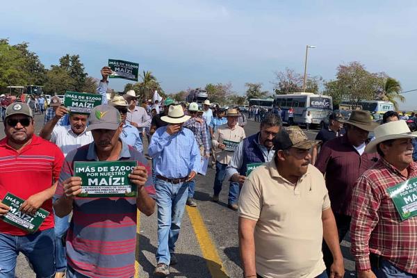 No está resuelta la comercialización para maíz y trigo de Sinaloa: Caades