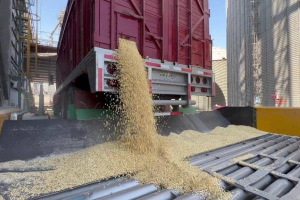 Productores piden precios de garantía para Agricultura Comercial