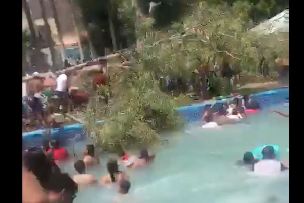 Cae árbol y mata a un bebé, en balneario de Guanajuato; reportan varios heridos | VIDEO