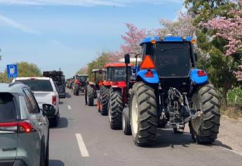 Productores de Sinaloa preparan «gran marcha» de El Carrizo a Culiacán 