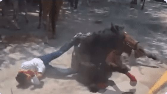 Senador del PRI sufre una fuerte caída de un caballo: VIDEO