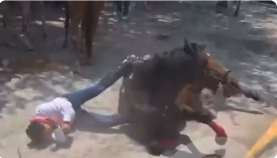 Senador del PRI sufre una fuerte caída de un caballo: VIDEO