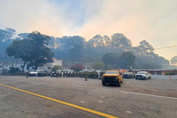 Van 15 familias evacuadas en la Sierra de Concordia por incendio forestal
