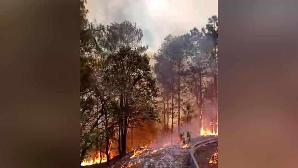 Clima complica acabar con incendio en Concordia; 200 elementos intentan sofocarlo