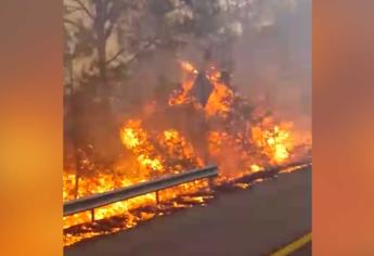 Incendio forestal arrasa con la Sierra de Concordia