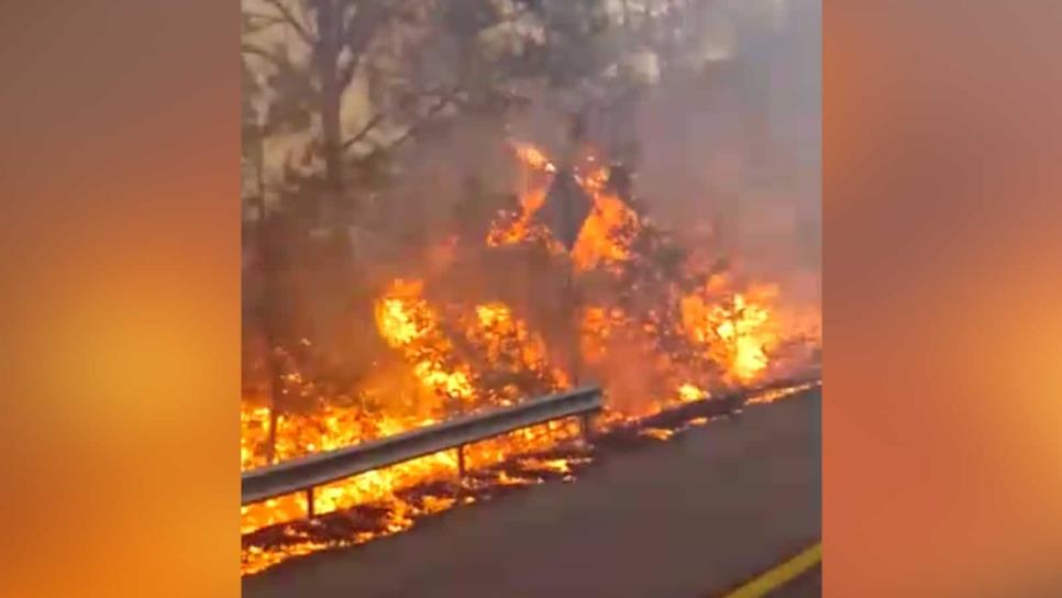 Incendio forestal arrasa con la Sierra de Concordia