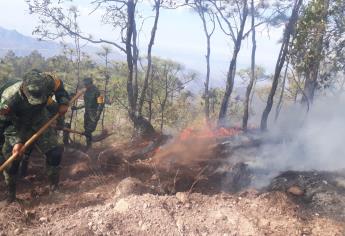 El Municipio no cuenta con suficientes pipas para sofocar el fuego en Loberas, Concordia: alcalde