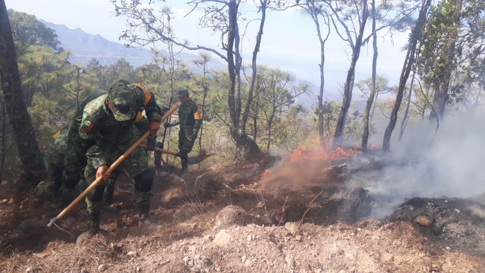 El Municipio no cuenta con suficientes pipas para sofocar el fuego en Loberas, Concordia: alcalde