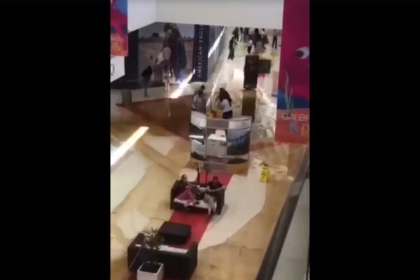 Vuelven los «popodrilos», ahora a conocida plaza al norte de Mazatlán 