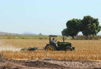 «El presupuesto está como nunca» para la agricultura en el 2024: Rocha Moya