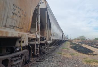 Trampa cae del tren carguero en Culiacán