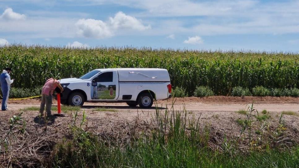 ¡La asesinó! Madre de niña semienterrada en Guasave confiesa que la ahogó; ya fue detenida