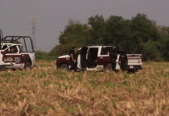 Se movilizan policías por hombre colgado en el Campo 35, pero era un mono de zacate