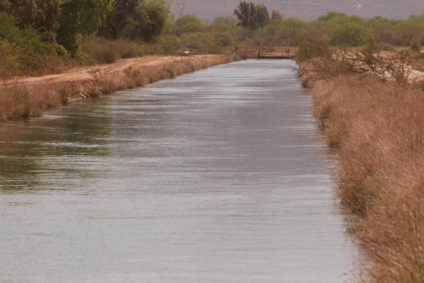 Niño de 6 años cae a un canal de riego en El Gatal, Sinaloa