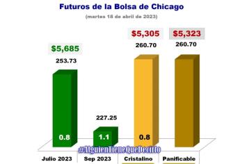 No despunta precio de maíz y trigo en Bolsa de Chicago