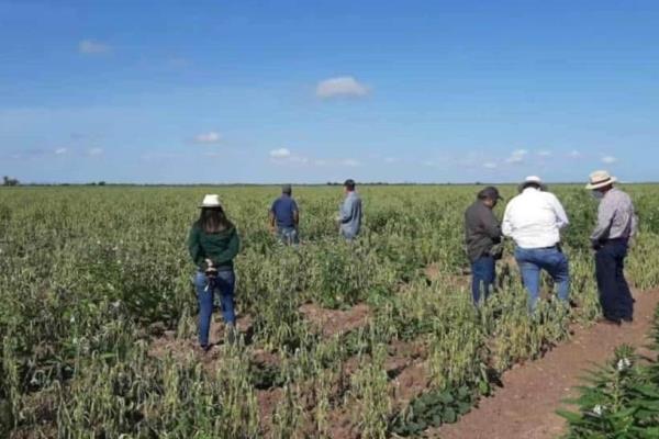 Cambian reglas de operación de Producción para El Bienestar