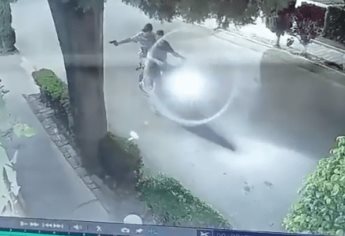 Perrito de Texcoco es baleado por motociclista y pierde un ojo | VIDEO