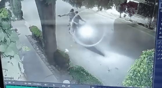 Perrito de Texcoco es baleado por motociclista y pierde un ojo | VIDEO