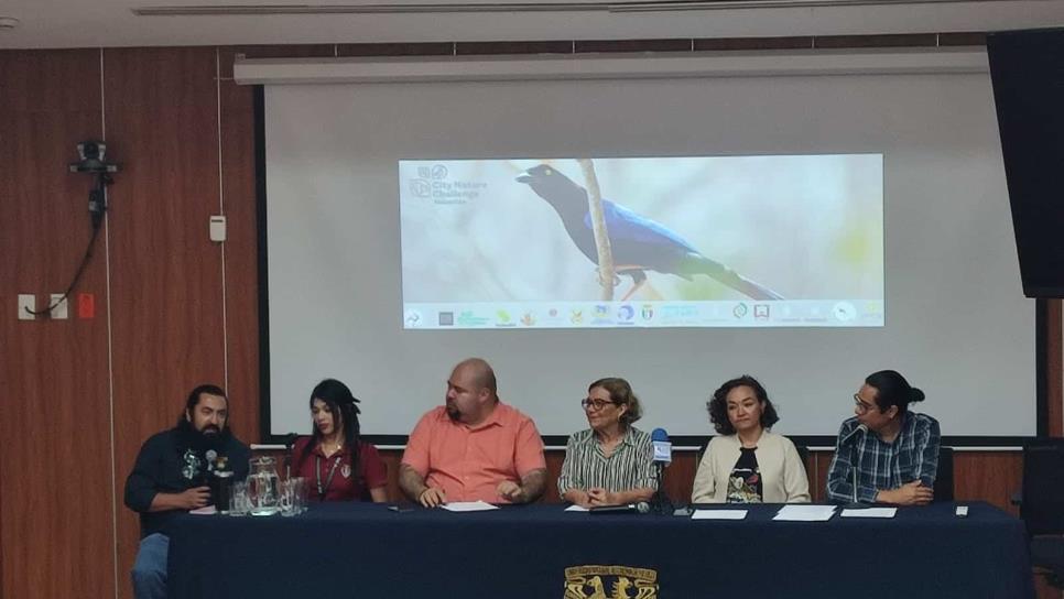 City Natural Challenge busca nuevas especies y fortalecer la ciencia en Mazatlán