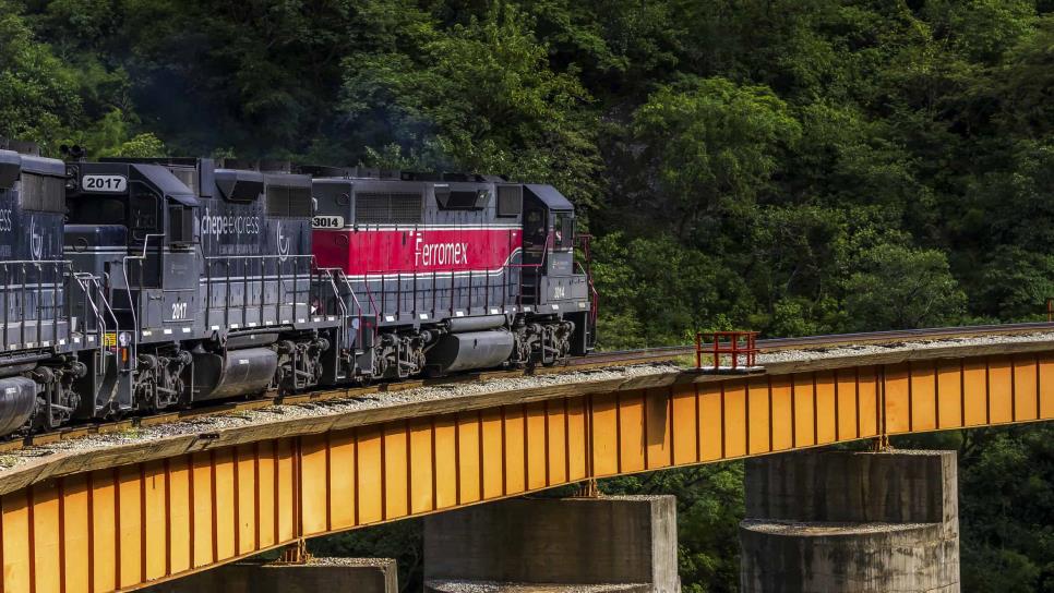 Tren «El Sinaloense»: conoce las rutas por donde pasará