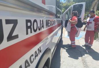 Ataque de abejas deja 15 personas heridas en Costa Rica