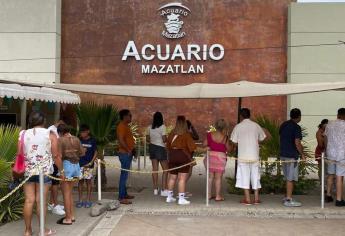 De liquidar a trabajadores, Acuario Mazatlán cerrará a más tardar el 1 de mayo: alcalde