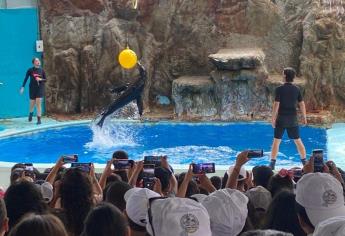 Acuario de Mazatlán tendrá entrada ¡GRATIS! este fin de semana