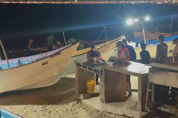 Llega el pez «pajarito» a las aguas de Mazatlán, un manjar que debes probar