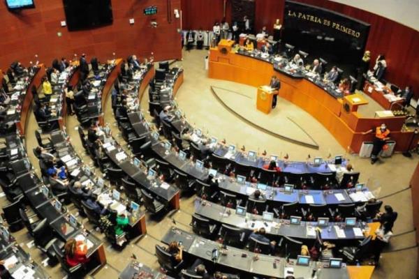 Por definirse al candidato por la Senaduría, el 5 de noviembre se nombrará: Rocha Moya