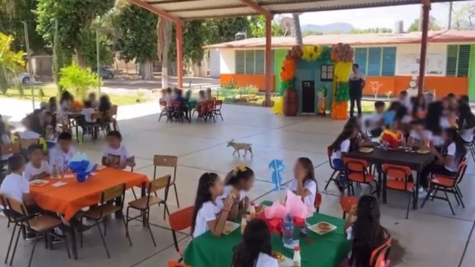 SEP: ¿habrá clases el 30 de abril por el Día del Niño?