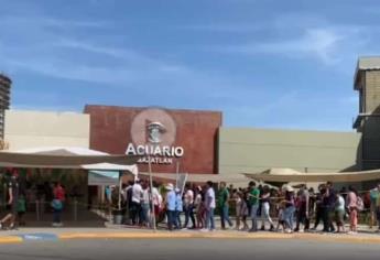 Filas interminables en el Acuario Mazatlán en su último día en la historia | VIDEO