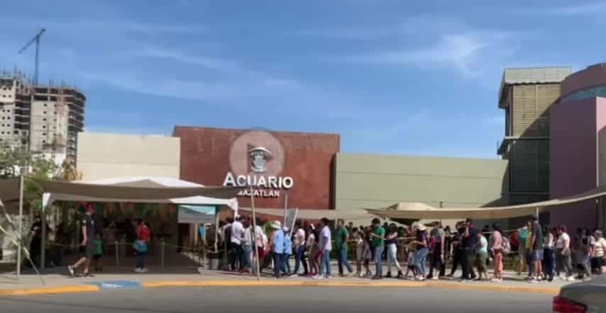 Filas interminables en el Acuario Mazatlán en su último día en la historia | VIDEO