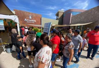 Más de 12 mil personas visitaron por última vez Acuario Mazatlán este fin de semana 