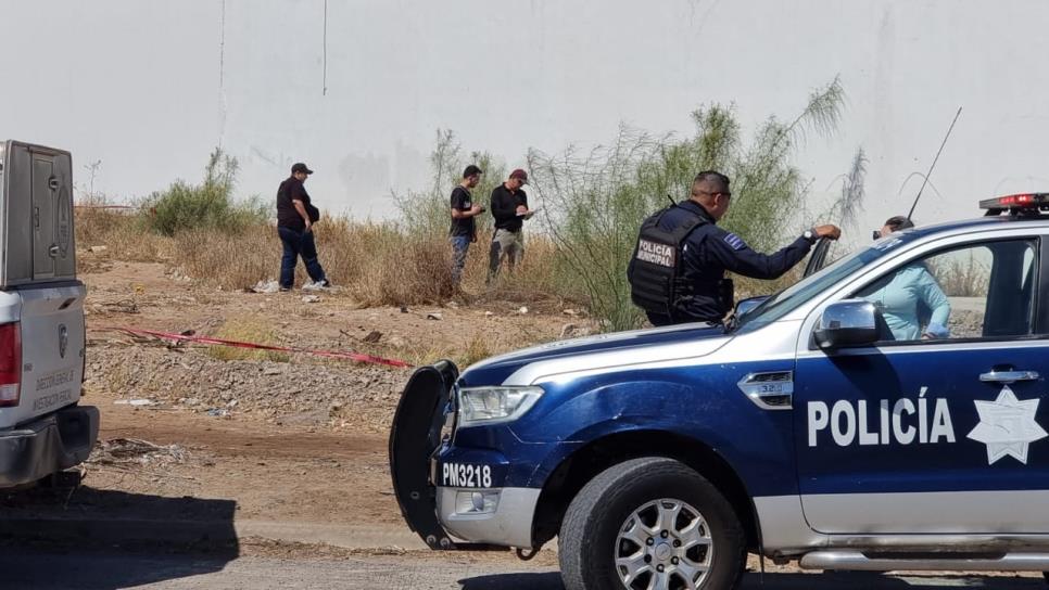 Hallan cadáver putrefacto atrás de conocida plaza en Los Mochis