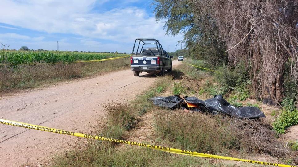 De Michoacán era la persona localizada asesinada en la sindicatura de Quilá