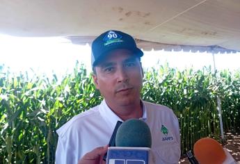 «Pagan $7 mil o desaparecemos»; productores buscarán directamente a industriales