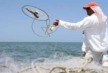 Restaurantes de mariscos en Mazatlán y Culiacán daban «Gato por Liebre», según estudio