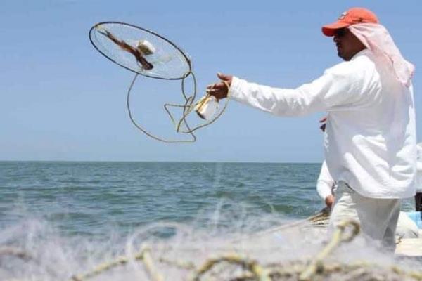 Solicitan mejorar a 200 MDP presupuesto para el sector pesquero en Sinaloa