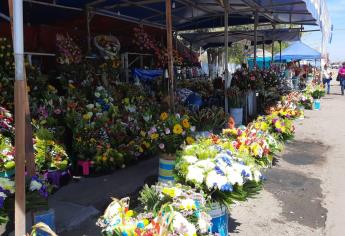 Aumenta 50 % el precio de la flor en Mazatlán este Día de las Madres