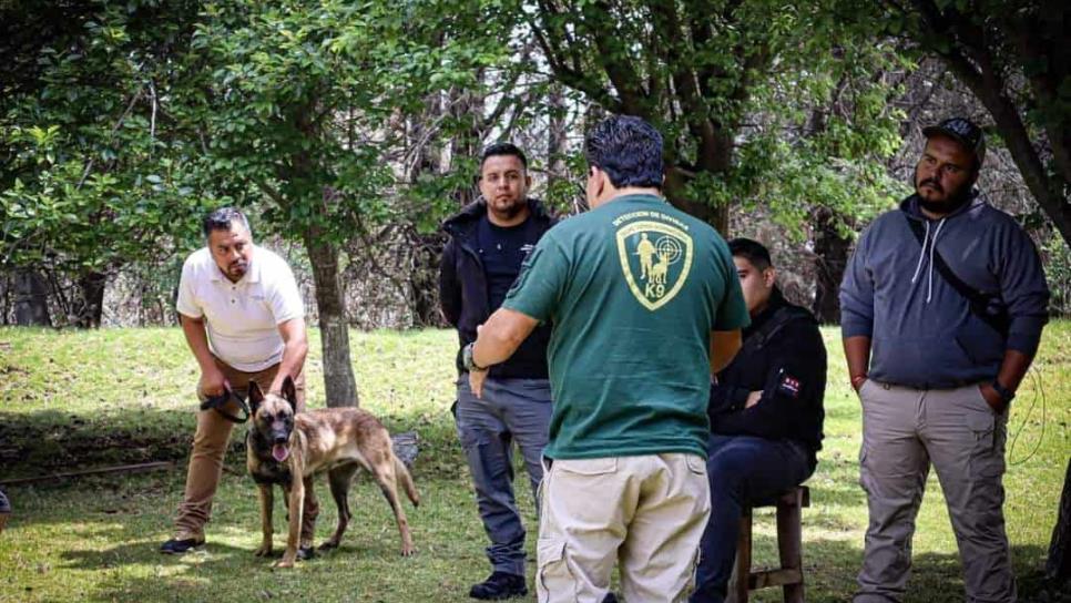 La ciencia detrás del adiestramiento canino