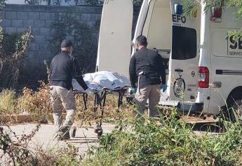 Persona localizada sin vida en Colinas del Bosque, era empleado del Ayuntamiento de Culiacán