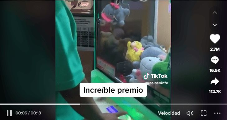 TikTok: usuario juega en máquina de peluches y se gana un gato de verdad