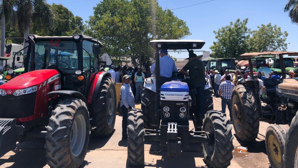 Productores que vendan maíz a Gobierno de Sinaloa recibirán pago en lapso de 10 días