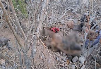 Localizan un cuerpo en estado de descomposición en El Cerro Cabezón