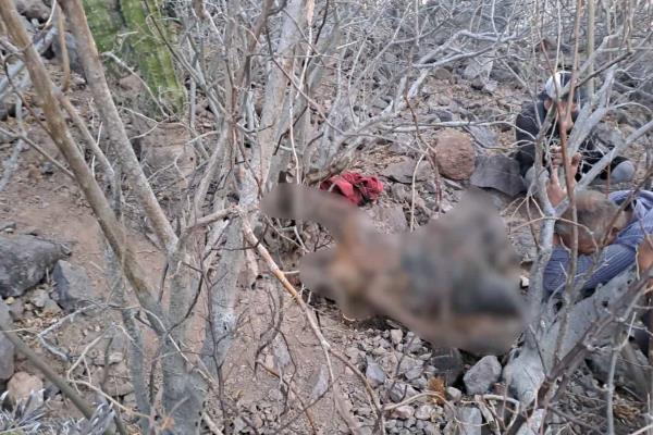 Localizan un cuerpo en estado de descomposición en El Cerro Cabezón