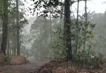 Se registra la primera lluvia de la temporada en Sinaloa