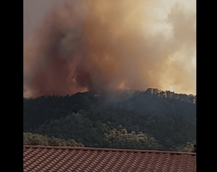 Denuncian en redes incendio en la sierra de Surutato, Badiraguato 